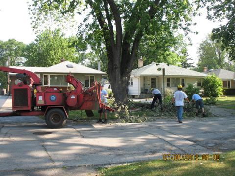 July 2012 Storm Tree Removal